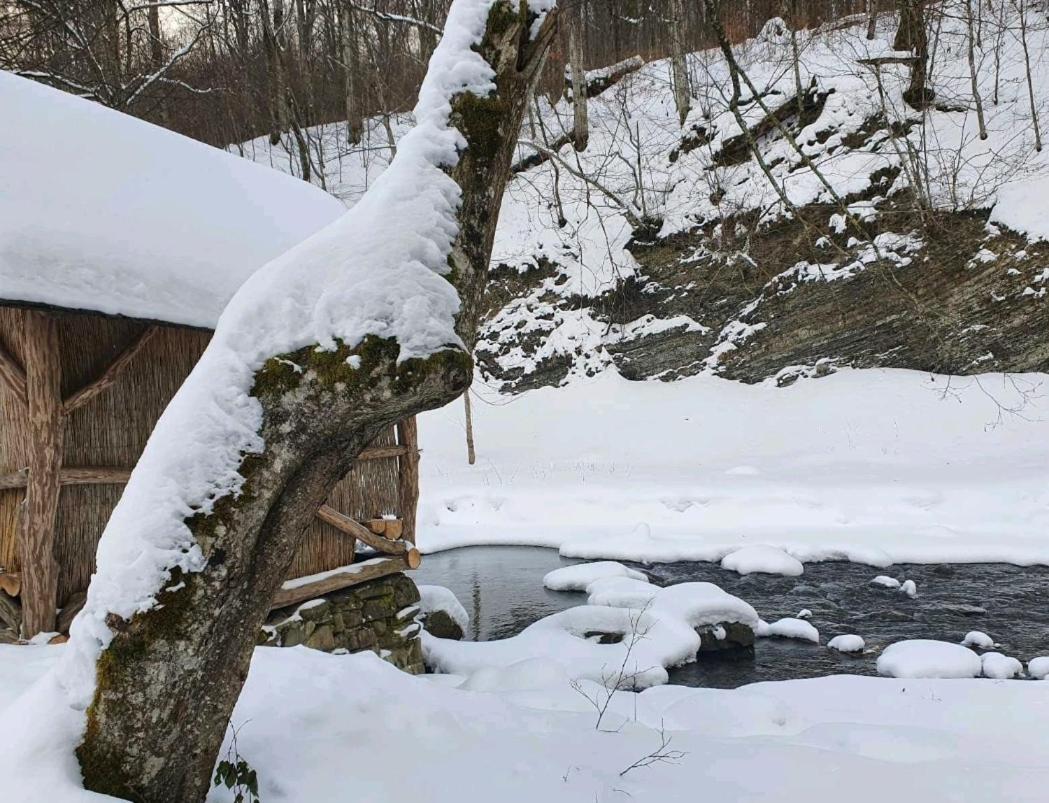 Хатина Біля Потока Villa Lumshory Luaran gambar