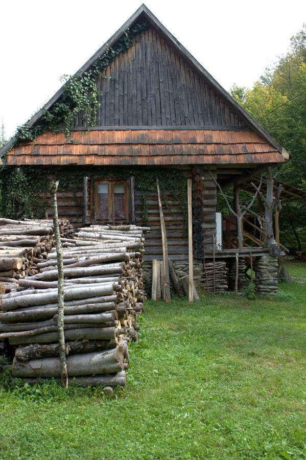 Хатина Біля Потока Villa Lumshory Luaran gambar